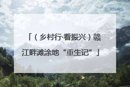 （乡村行·看振兴）赣江畔滩涂地“重生记”