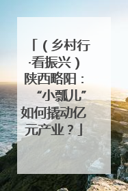 （乡村行·看振兴）陕西略阳：“小瓢儿”如何撬动亿元产业？