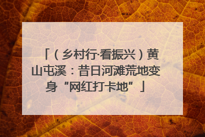 （乡村行·看振兴）黄山屯溪：昔日河滩荒地变身“网红打卡地”