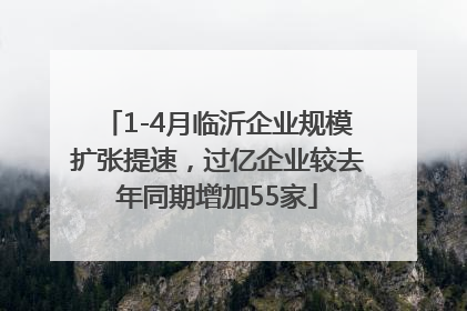 1-4月临沂企业规模扩张提速，过亿企业较去年同期增加55家