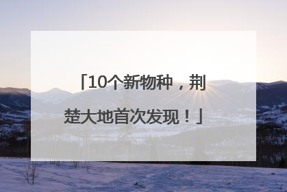 10个新物种，荆楚大地首次发现！