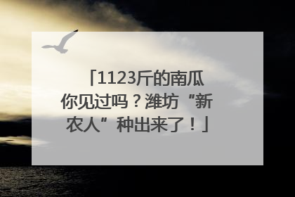 1123斤的南瓜你见过吗？潍坊“新农人”种出来了！