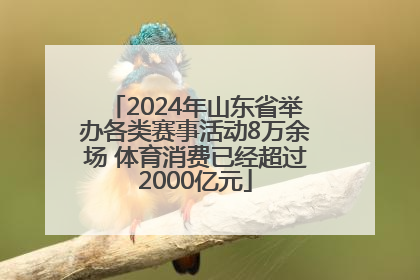 2024年山东省举办各类赛事活动8万余场 体育消费已经超过2000亿元
