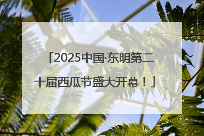 2025中国·东明第二十届西瓜节盛大开幕！