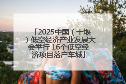 2025中国（十堰）低空经济产业发展大会举行 16个低空经济项目落户车城