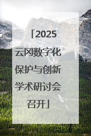 2025云冈数字化保护与创新学术研讨会召开