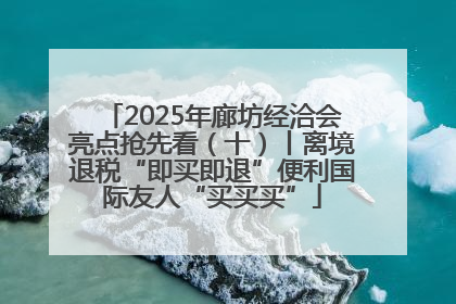 2025年廊坊经洽会亮点抢先看（十）丨离境退税“即买即退”便利国际友人“买买买”