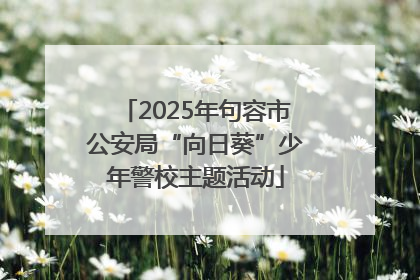 2025年句容市公安局“向日葵”少年警校主题活动