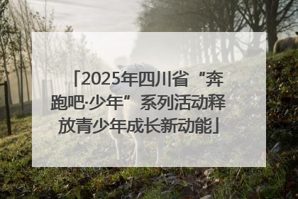 2025年四川省“奔跑吧·少年”系列活动释放青少年成长新动能