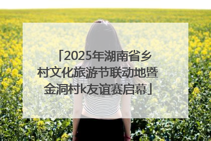 2025年湖南省乡村文化旅游节联动地暨金洞村k友谊赛启幕