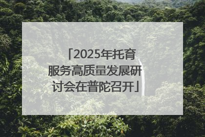 2025年托育服务高质量发展研讨会在普陀召开
