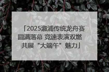 2025溆浦传统龙舟赛圆满落幕 竞速表演双燃 共展“大端午”魅力
