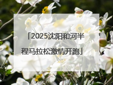 2025沈阳和河半程马拉松激情开跑