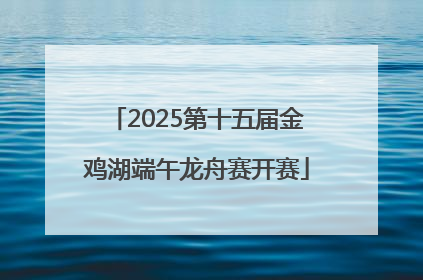 2025第十五届金鸡湖端午龙舟赛开赛
