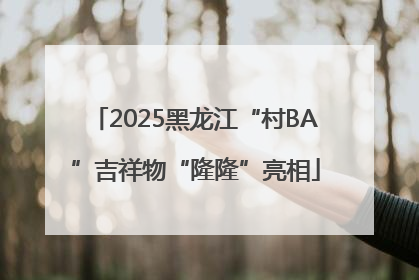 2025黑龙江“村BA”吉祥物“隆隆”亮相