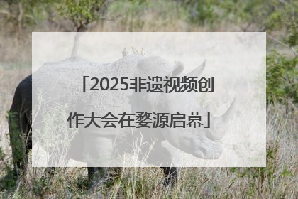 2025非遗视频创作大会在婺源启幕