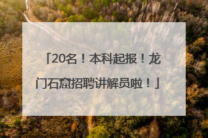 20名！本科起报！龙门石窟招聘讲解员啦！