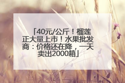 40元/公斤！榴莲正大量上市！水果批发商：价格还在降，一天卖出2000箱