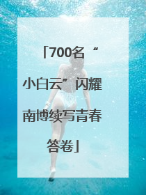 700名“小白云”闪耀南博续写青春答卷