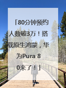 80分钟预约人数破3万！搭载原生鸿蒙，华为Pura 80来了！