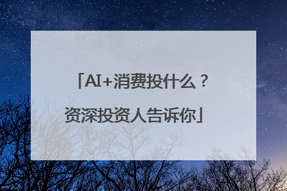 AI+消费投什么？资深投资人告诉你