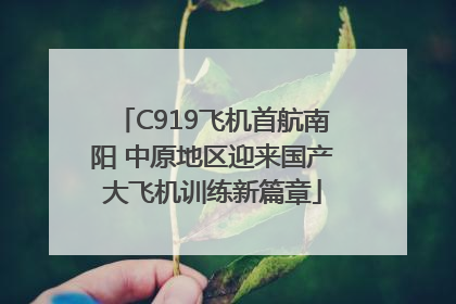 C919飞机首航南阳 中原地区迎来国产大飞机训练新篇章