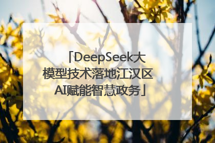 DeepSeek大模型技术落地江汉区 AI赋能智慧政务